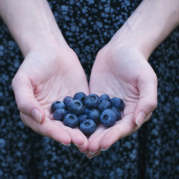 BLUEBERRIES THE SUPERFOOD FOR YOUR BRAIN
